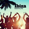 Future Sound Of Ibiza、Beach Party Chillout Music Ensemble、Bachelorette Party Music Zone - Nightspot Chill House