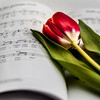 Julyo - Sonata for Guitar No. 6 in F major