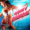 Nicco、R.I.O. - Party Shaker