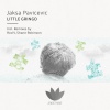 Jaksa Pavicevic - Little Gringo