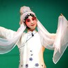 柳素霞、邓沐玮 - 一见皇儿跪埃尘 (京剧)