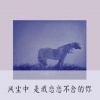 陈大宽 - 玫瑰