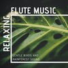 Renovated Akropolis、May First - Relaxing Flute Music