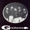 Gallatin - Tall People