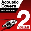 Frank Rivers、David Shannon - Goodbyes (Acoustic Version)