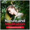 Natural Sounds - Winter Water