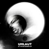 Umlaut - This **** Rights Itself (Explicit)