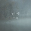 三叶 - 芒种