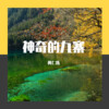 黄仁烁 - 神奇的九寨