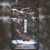 亡海Aries - 斟酒待人归 (纯歌版)
