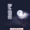 小侯 - 梦之泪伤 (新版)