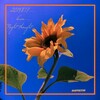 刘思达 - Night thoughts