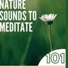 New Age Naturists - Nature Sounds to Meditate