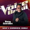 Tony Gordon - What A Wonderful World (Ao Vivo No Rio De Janeiro / 2019)