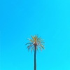 Es-K、John Culbreth、Paulie Philippone - World Travel