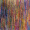 Olaf Stuut - Schizophrenic Cuttlefish