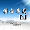 歌者达达、小甜七吖 - 抖音车载DJ