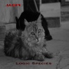 Logic Species - Jaspi