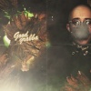 Willieseesgreen - Flaws (Explicit)