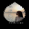 陈安排、圈妹、小可 - 嗨就完了 (DJ版)