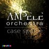 Ampele Orchestra - Silenzio in cerchio