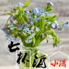 小潇 - 七杯酒