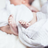 Infant and Babies Sleep White Noise、White Noise、Pink Noise - White Noise Baby Shusher (Looped, Loopable)