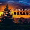 Sons de forêt relaxants - Berceuse