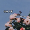 明洋、林梦瑶 - 沉默是我动态 (DJ版)