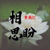 雪薇吖 - 相思盼