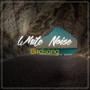 Sleep Ambience、Soothing Nature Sounds - Friends From High Places