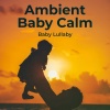Baby Lullaby - Traffic Static