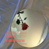 DJ蜜儿 - 不插电EDM (电摇)