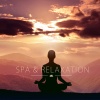 Estudar Música、Relaxed and Peaceful Zen Music - Life