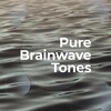 Binaural Beats Brain Waves Isochronic Tones Brain Wave Entrainment - DTMF Tone
