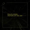 Fallen Angel - Picture of the Day
