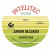 Junior Delgado - Shelter