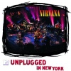 Nirvana - About A Girl (Live Version)