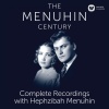 Yehudi Menuhin - I. Allegro con brio