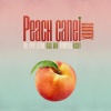 Mr. Pimp-Lotion、Oral Bee、infinity、reset - Peach Canei (Remix)