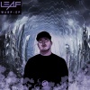 Leaf - Warp