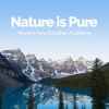 Musica Para Estudiar Academy《Nature is Pure》[MP3/LRC]