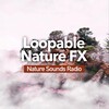 Nature Sounds Radio - Crickets Reverberate