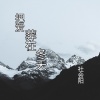 社会阳 - 把爱葬在冬天