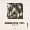 brillion.、expand or expire. - Reminiscing Through the Jungle