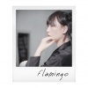 仙羽 - Flamingo