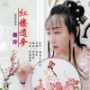 秦芹 - 红楼遗梦 (伴奏)
