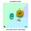 KPLR、Kacy Moon、Salasnich - Live Your Life