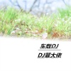 DJ冀大佬 - 车载DJ1