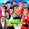 Florin Salam、Various Artists、Bogdan De La Oradea - Cum Sa Nu O Iubesc (feat. Bogdan De La Oradea)
